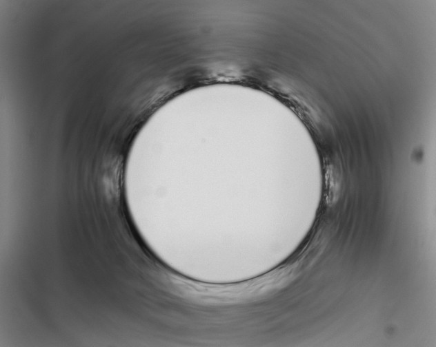 X0000116840034201001151256