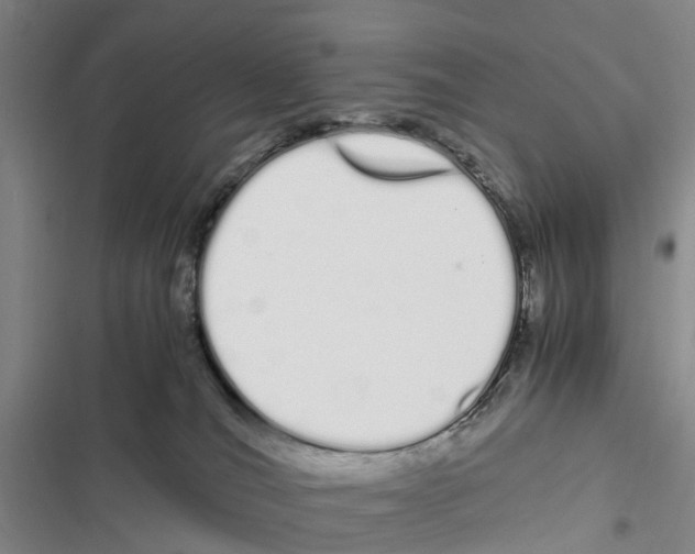 X0000116840036201001151256