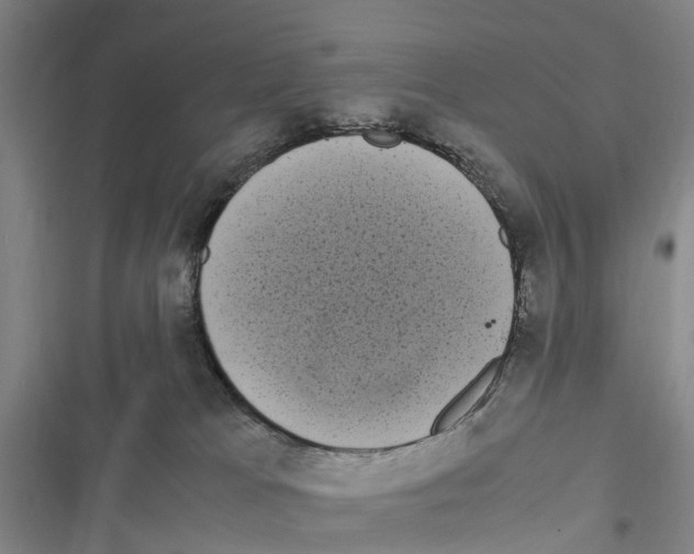 X0000116840037201001151256