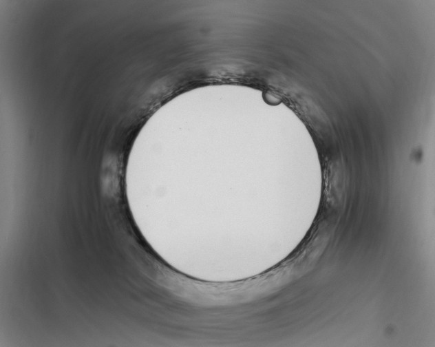 X0000116840038201001151256