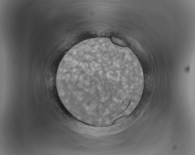 X0000116840039201001151256