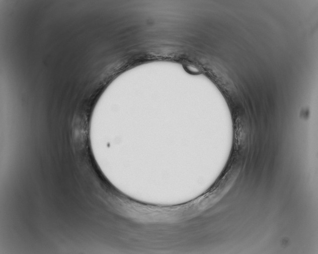 X0000116840040201001151256