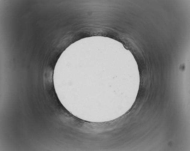 X0000116840041201001151256