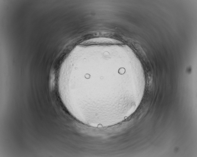 X0000116840042201001151256