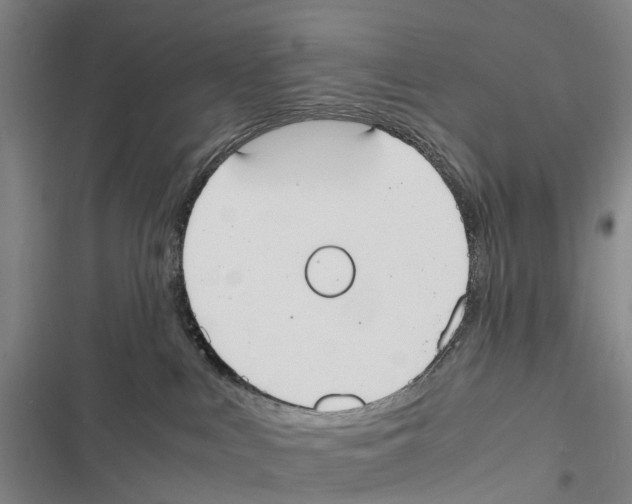 X0000116840043201001151256