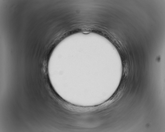 X0000116840044201001151256