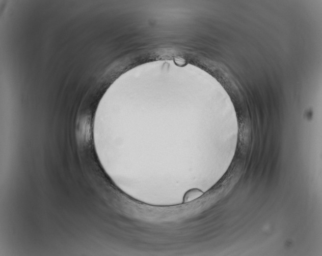 X0000116840046201001151256