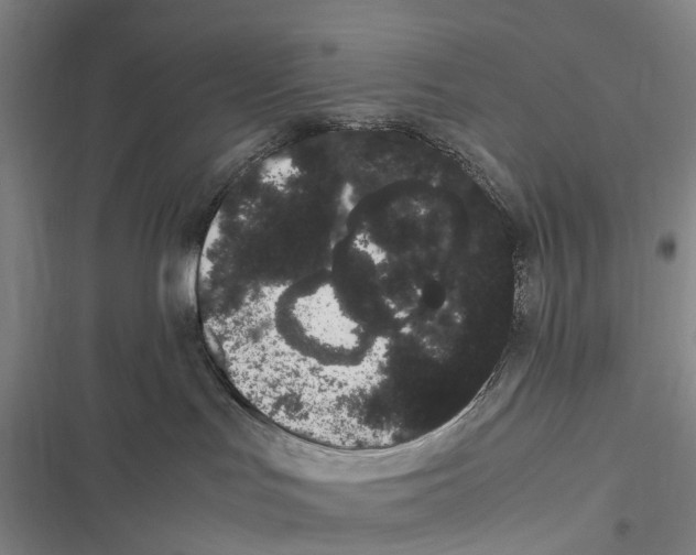 X0000116840047201001151256