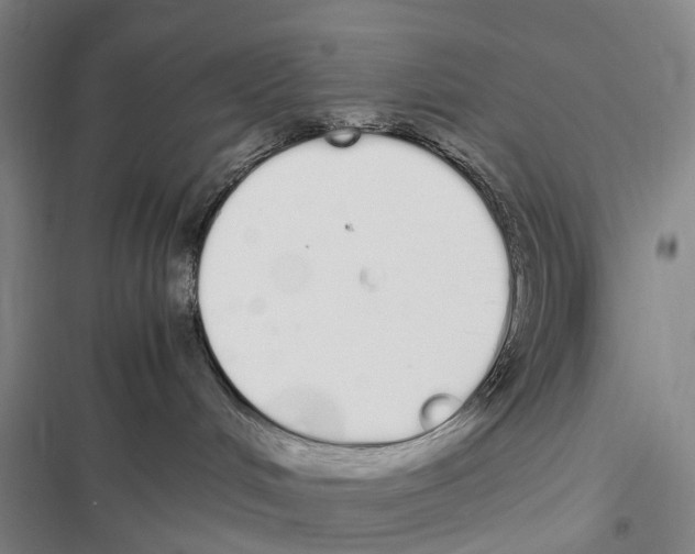 X0000116840048201001151256