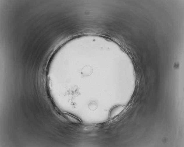 X0000116840050201001151255
