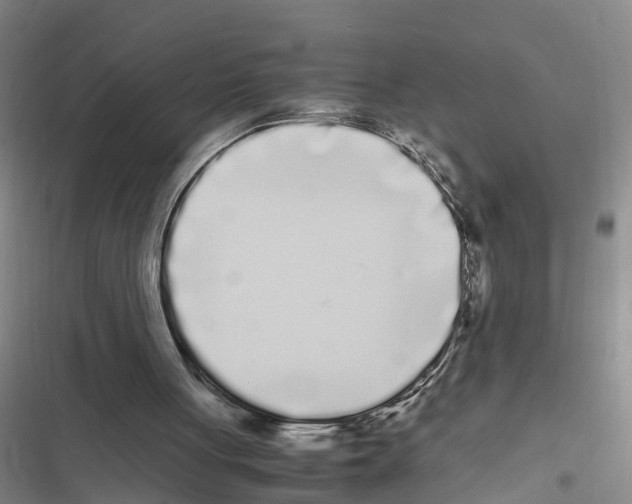 X0000116840051201001151255