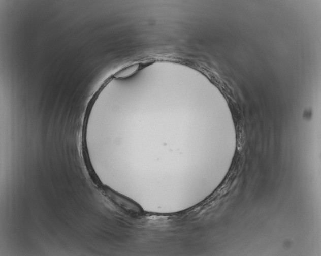 X0000116840052201001151255