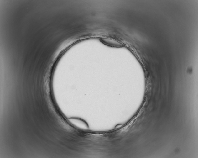 X0000116840054201001151256