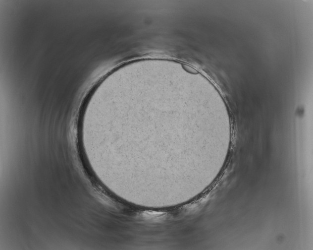 X0000116840055201001151256