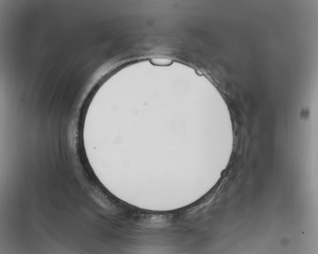 X0000116840056201001151256