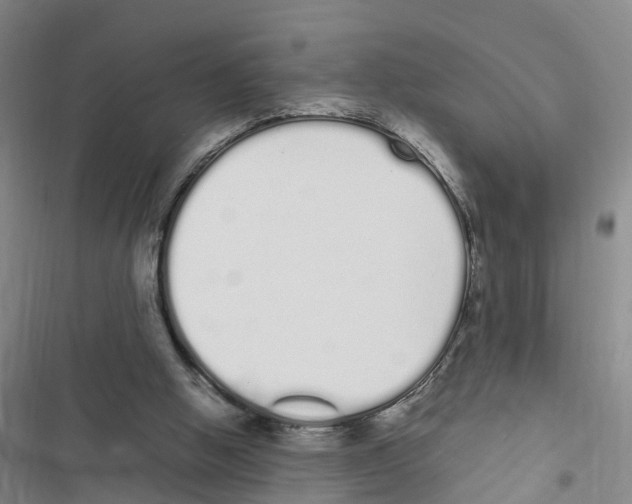 X0000116840058201001151256
