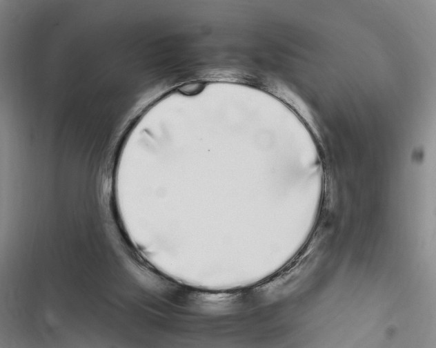 X0000116840059201001151256