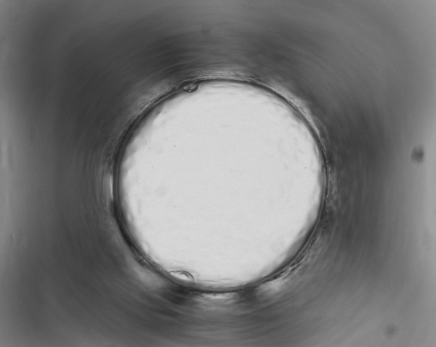 X0000116840061201001151256