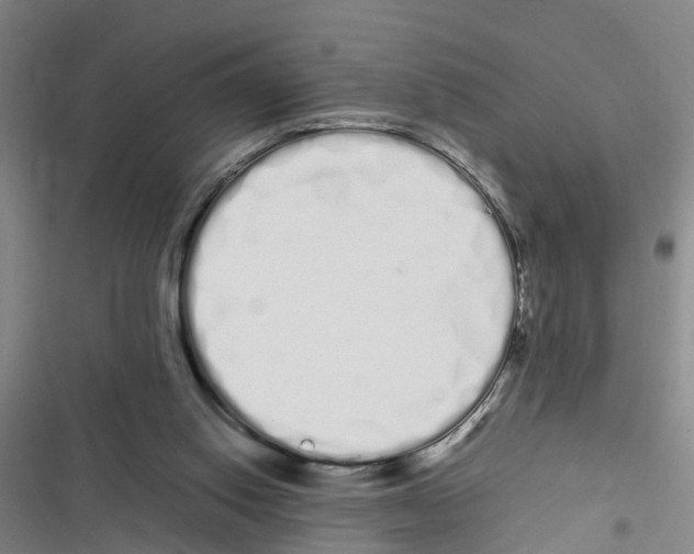 X0000116840062201001151256