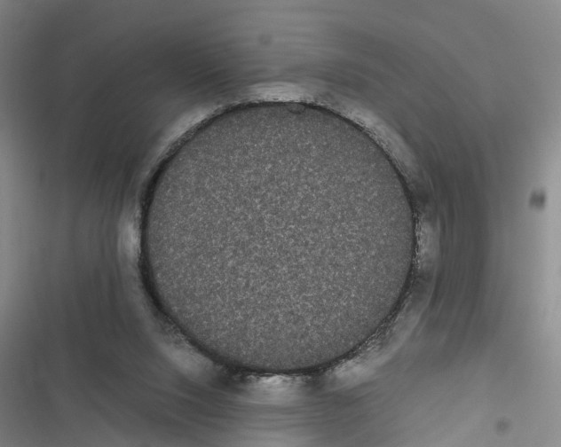 X0000116840064201001151256