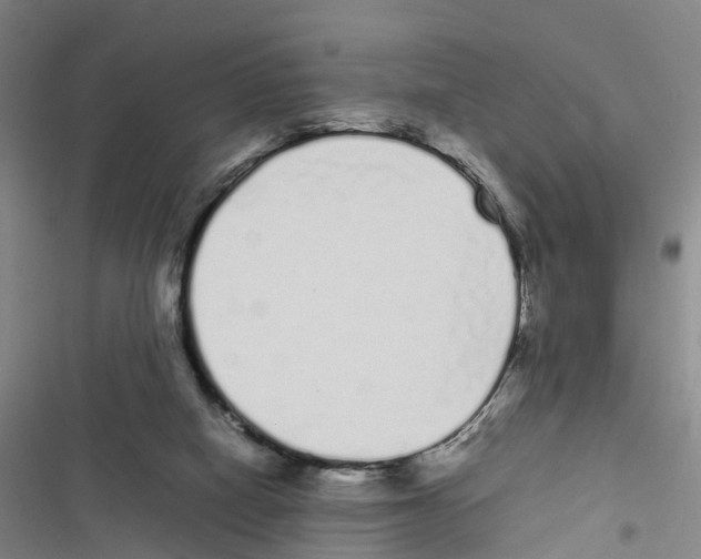 X0000116840066201001151256