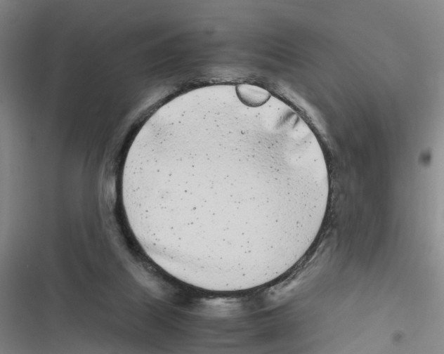 X0000116840067201001151256