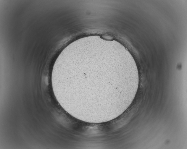 X0000116840068201001151256