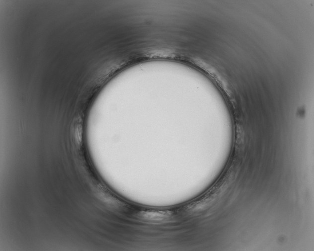X0000116840069201001151256