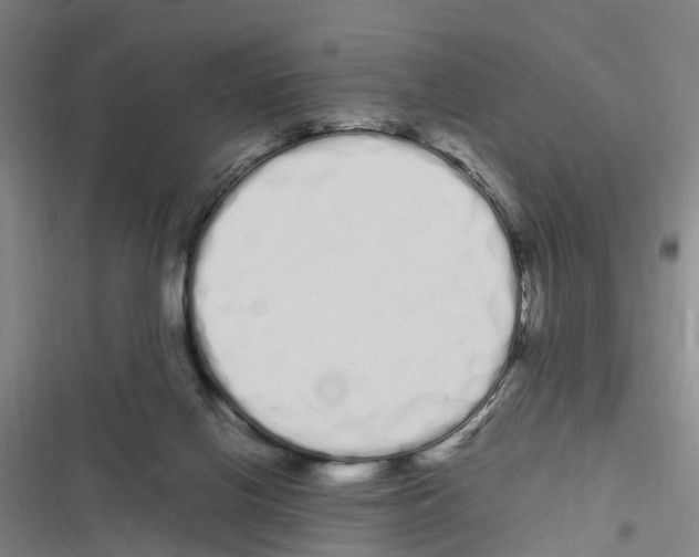 X0000116840070201001151256