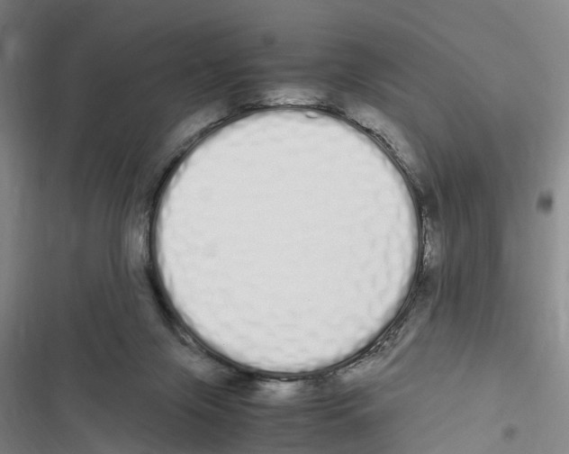 X0000116840071201001151256