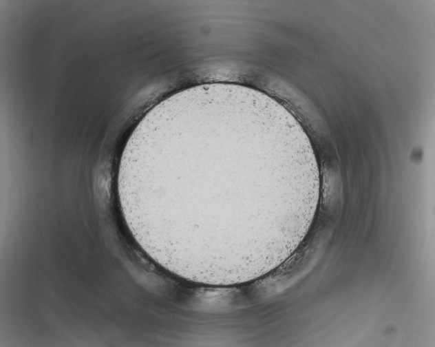 X0000116840072201001151256