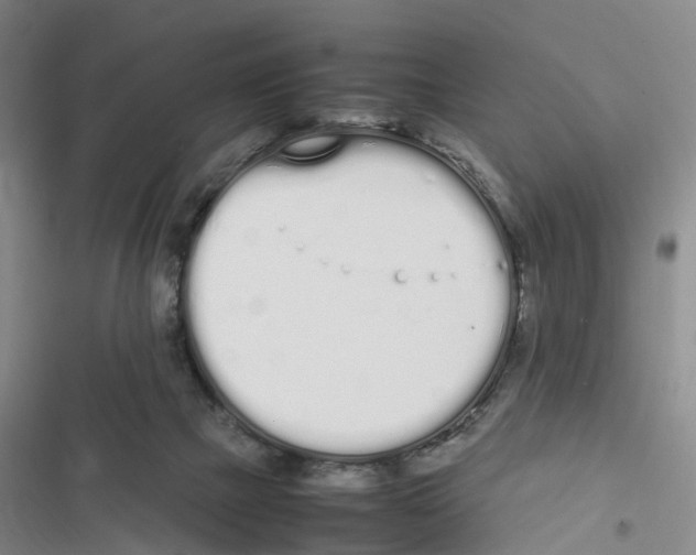 X0000116840073201001151256