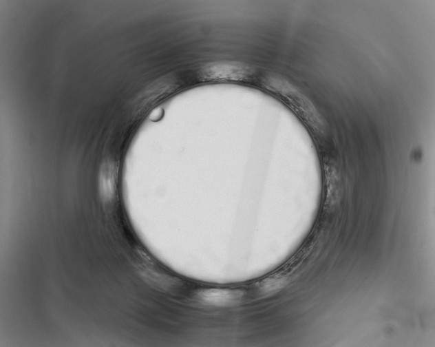 X0000116840075201001151256