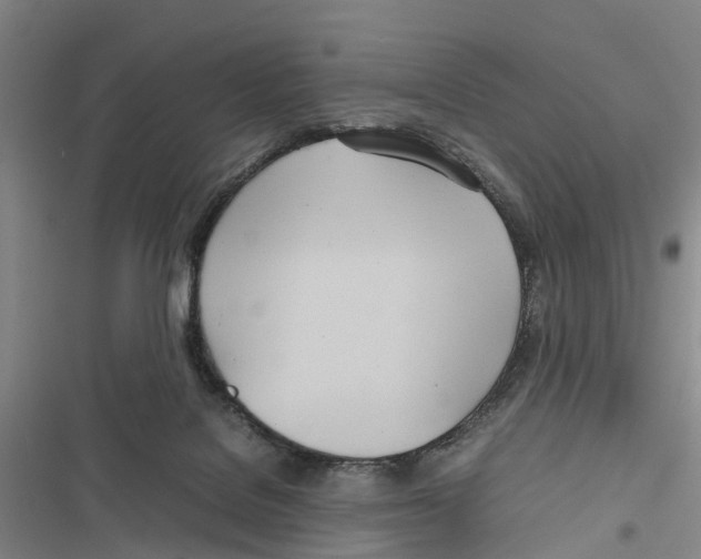 X0000116840076201001151256
