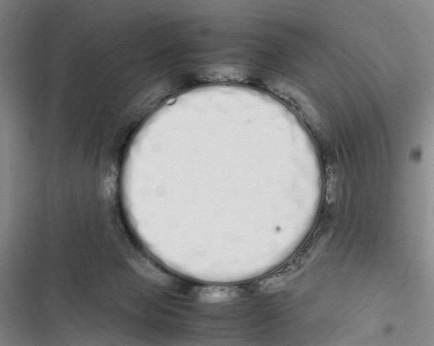 X0000116840077201001151256