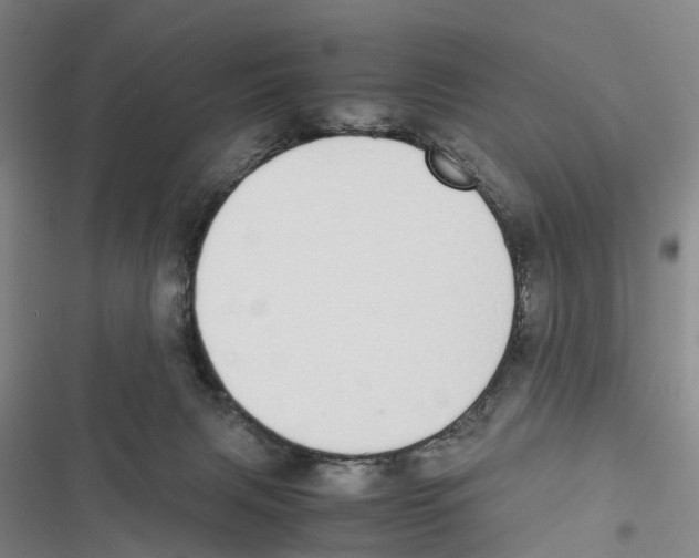 X0000116840079201001151256