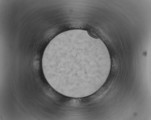 X0000116840080201001151256