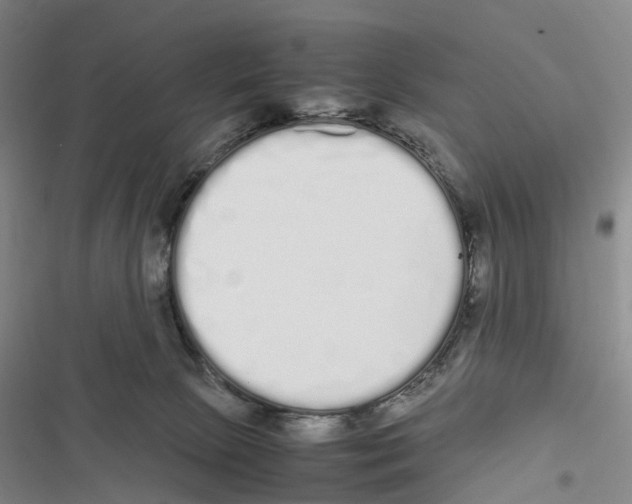 X0000116840081201001151256
