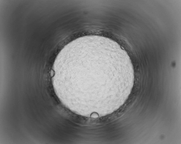 X0000116840083201001151256