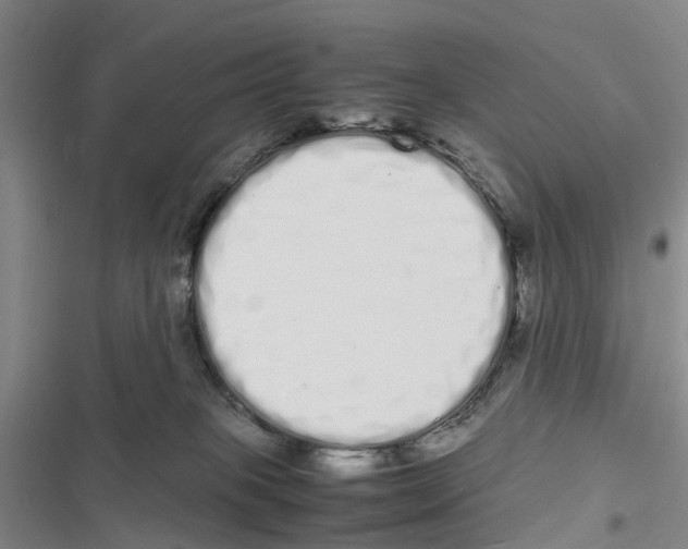 X0000116840085201001151256