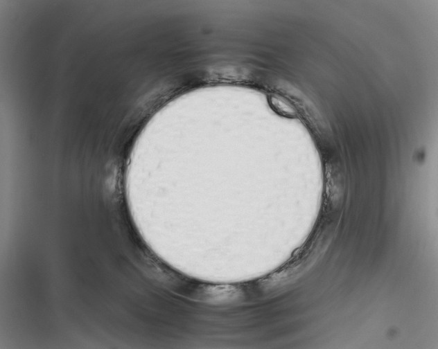 X0000116840087201001151256