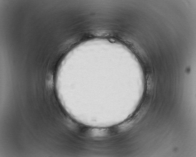 X0000116840089201001151256