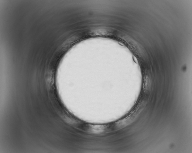X0000116840091201001151256
