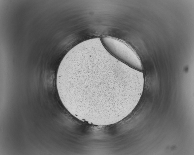 X0000116840092201001151256