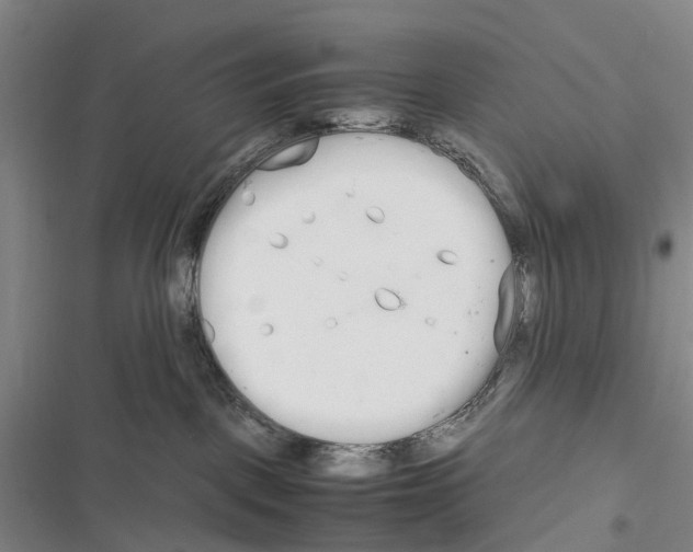 X0000116840093201001151256
