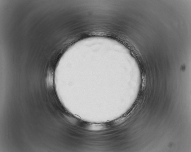 X0000116840095201001151256