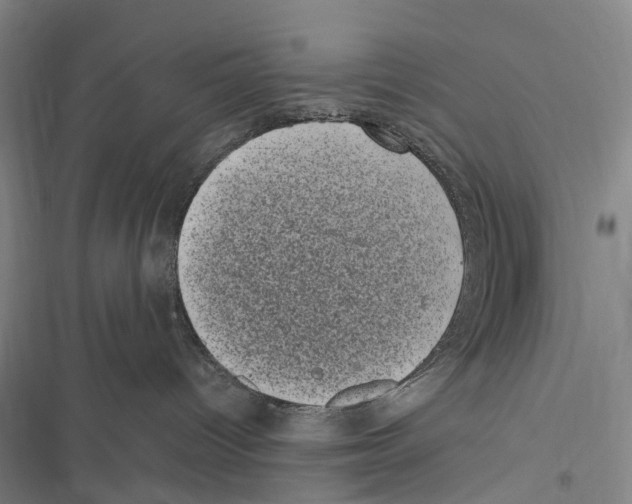 X0000116840096201001151256