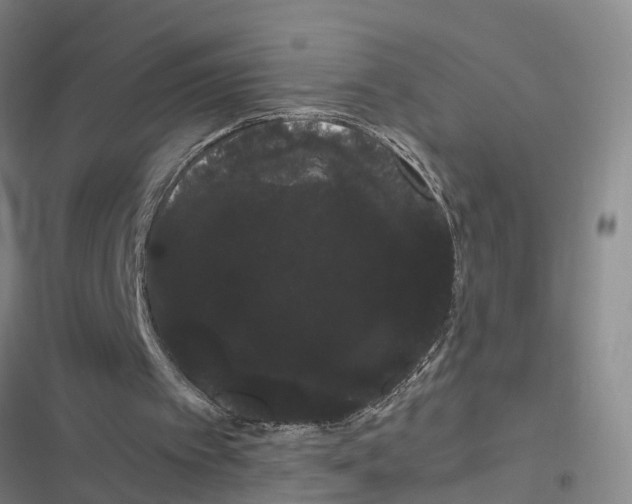 X0000116840097201001151255