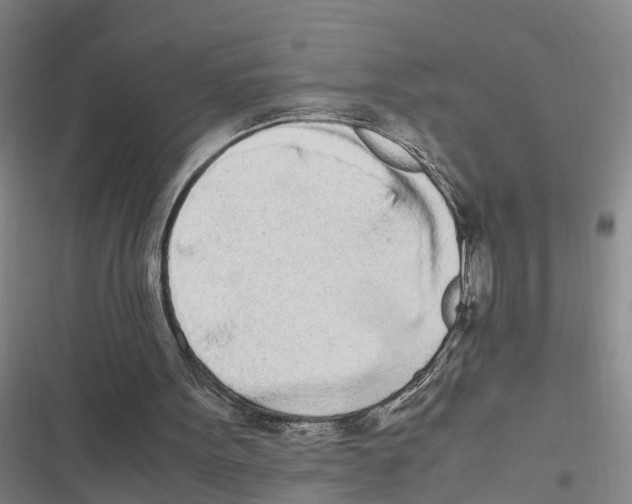 X0000116840099201001151255