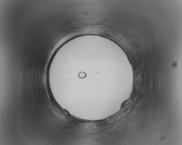 X0000116840100201001151255